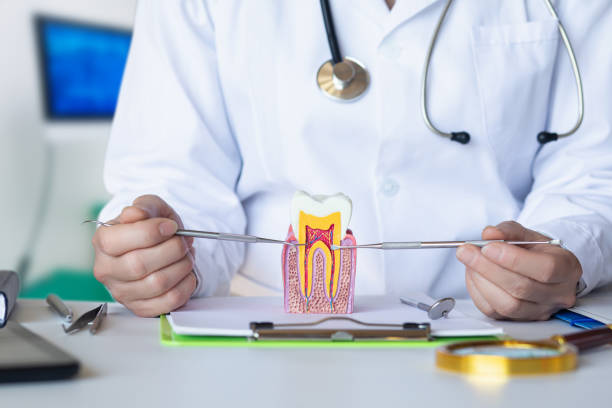 Best Emergency Dental Care for Broken or Chipped Teeth in Seymour, TX